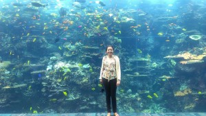 aquario de georgia